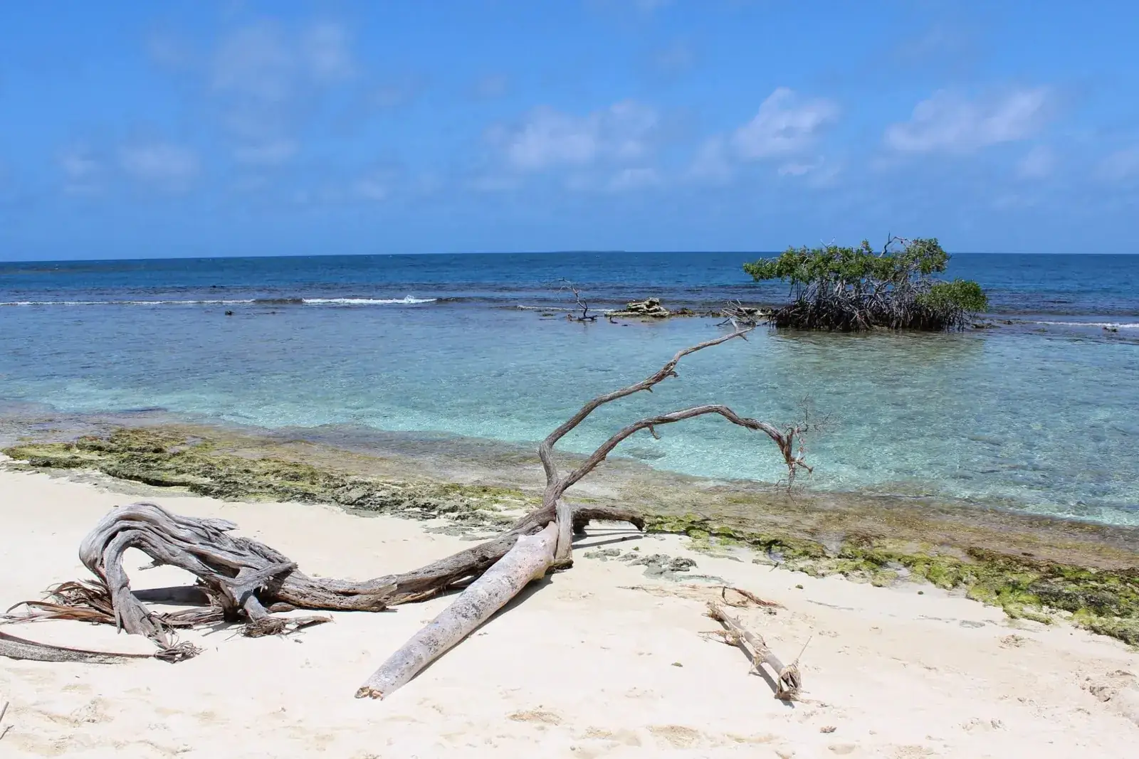 A beach on the Venezuelan Caribbean