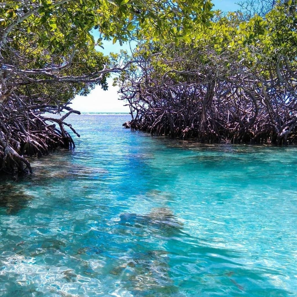 Cayo Muerto en el Parque Nacional Morrocoy