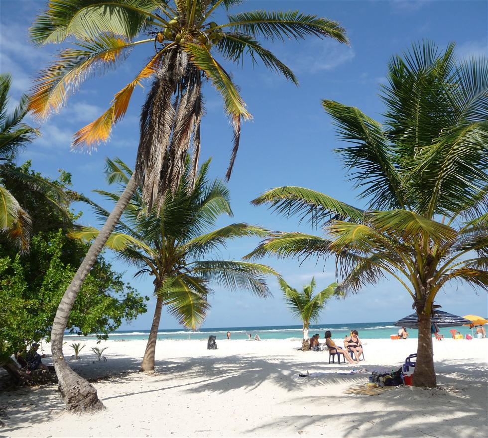 Descubre Chichiriviche: Joya Tropical de Venezuela Playa Chichiriviche Parque Nacional Morrocoy Venezuela