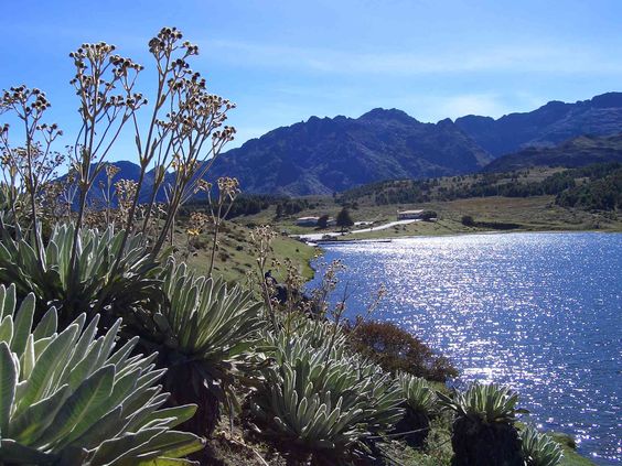 Laguna Mucubají en Mérida