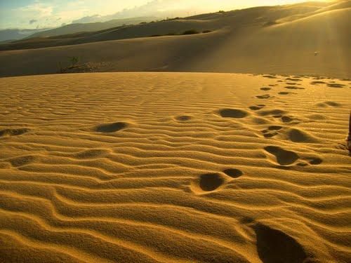 Médanos de Coro Venezuela Médanos de Coro Falcón Venezuela