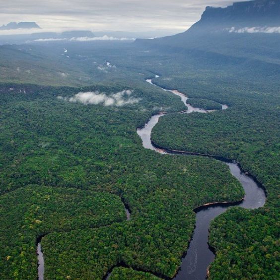Delta del Orinoco: Un Laberinto Natural en Venezuela Parque Nacional Río Orinoco Venezuela