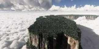 Roraima: El Misterioso Tepuy de Venezuela Monte Roraima en Canaima Venezuela