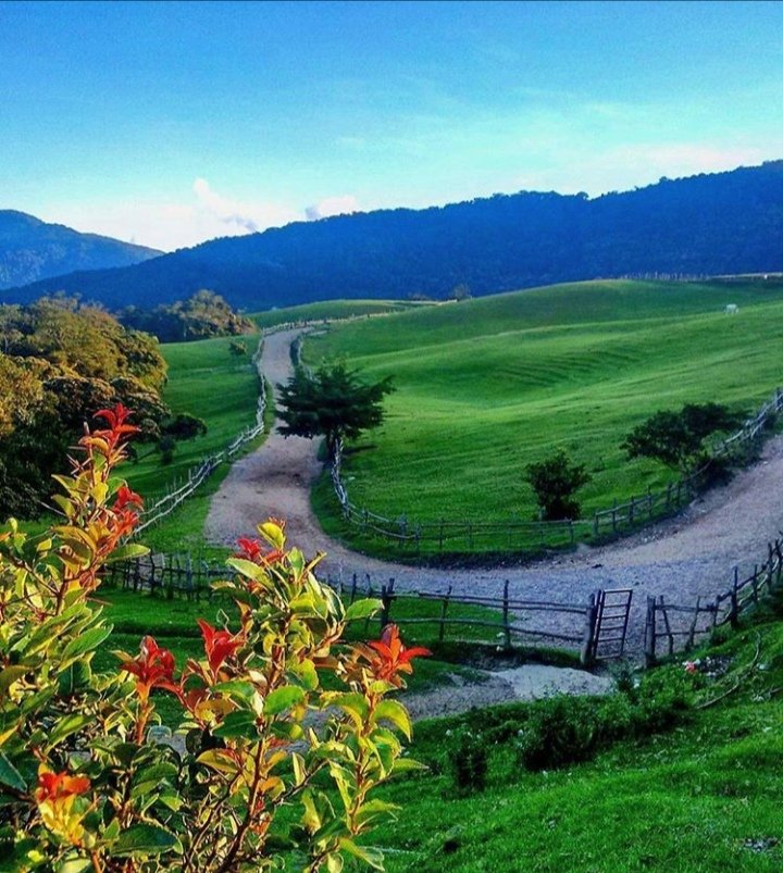 Guía Completa 2024 de las Montañas Venezolanas Montañas de Venezuela