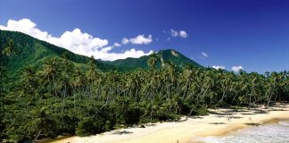 Cordillera de la Costa Venezolana: Guía 2024 Cordillera de la Costa en Venezuela