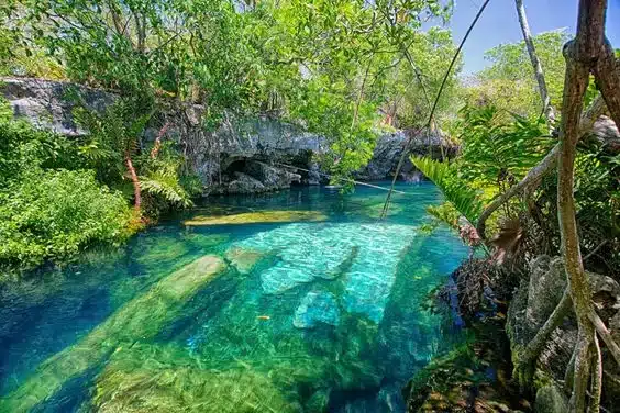Cenotes de la Riviera Maya 