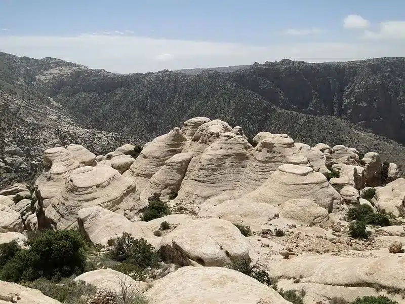 Reserva de Biosfera de Dana (Parque Nacional de Jordania)