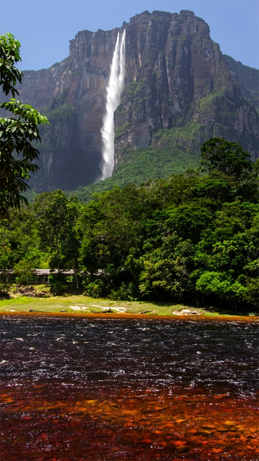 Río y selva vistos desde el aire en Canaima