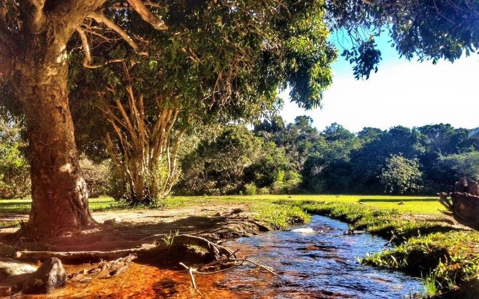 Agua de La Cascada del vino