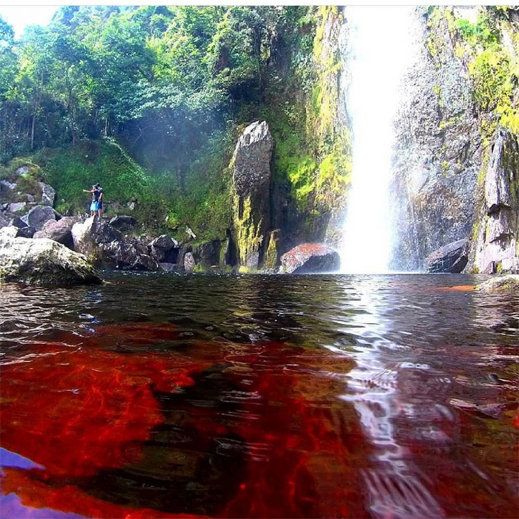 Cascada del vino
