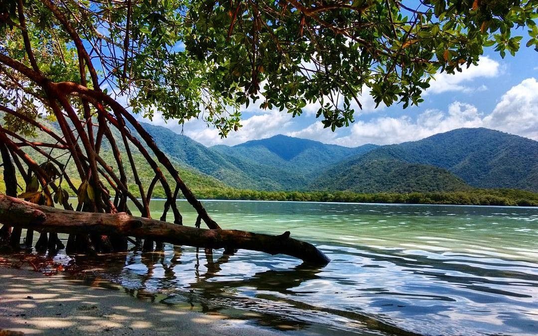 La Ciénaga Parque Nacional Henri Pittier