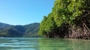 La Ciénaga Playas Venezolanas