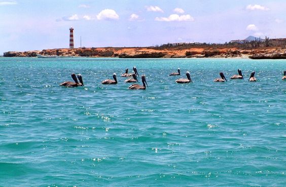 Isla de Cubagua en Venezuela