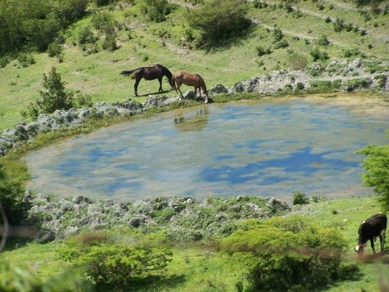 Montañas del Estado Lara