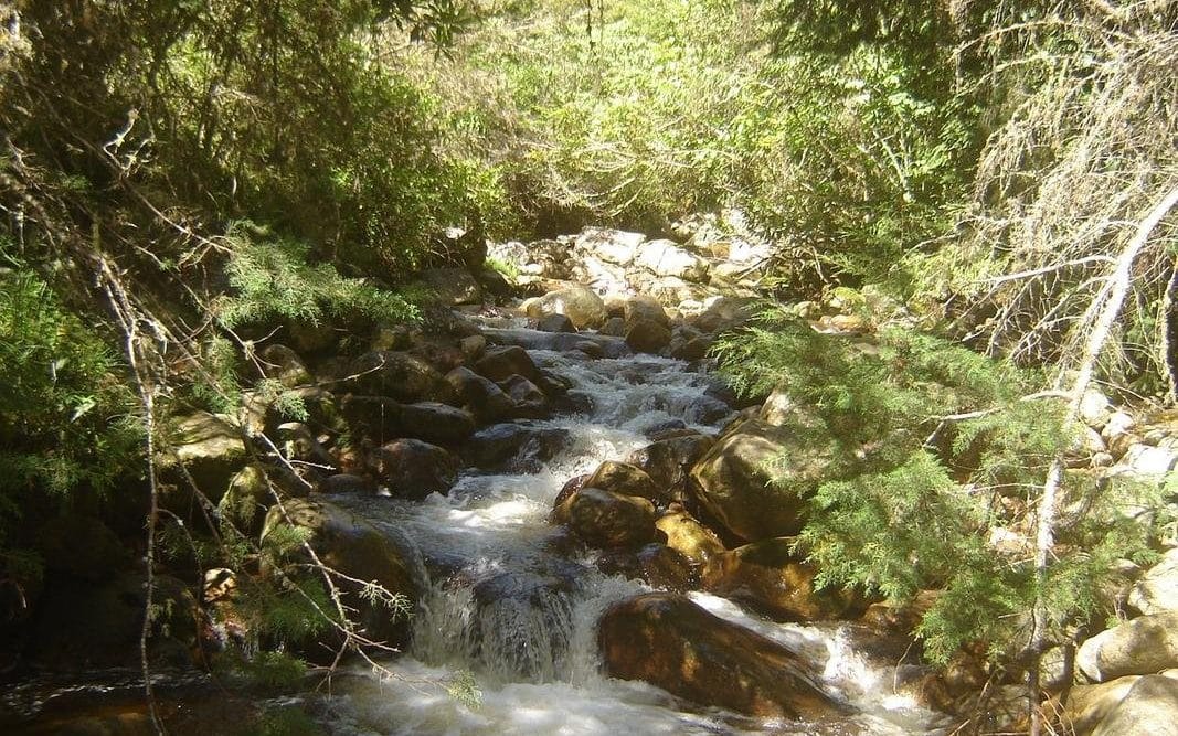 Parque Nacional Dinira Venezuela