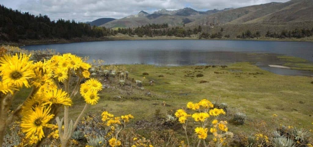 Laguna Mucubají en Mérida