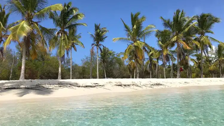 Embarcaciones en el muelle de acceso al Parque Nacional Morrocoy