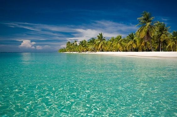 Playa de arena blanca con palmeras en un cayo de Morrocoy