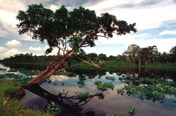 El Río Orinoco en Venezuela