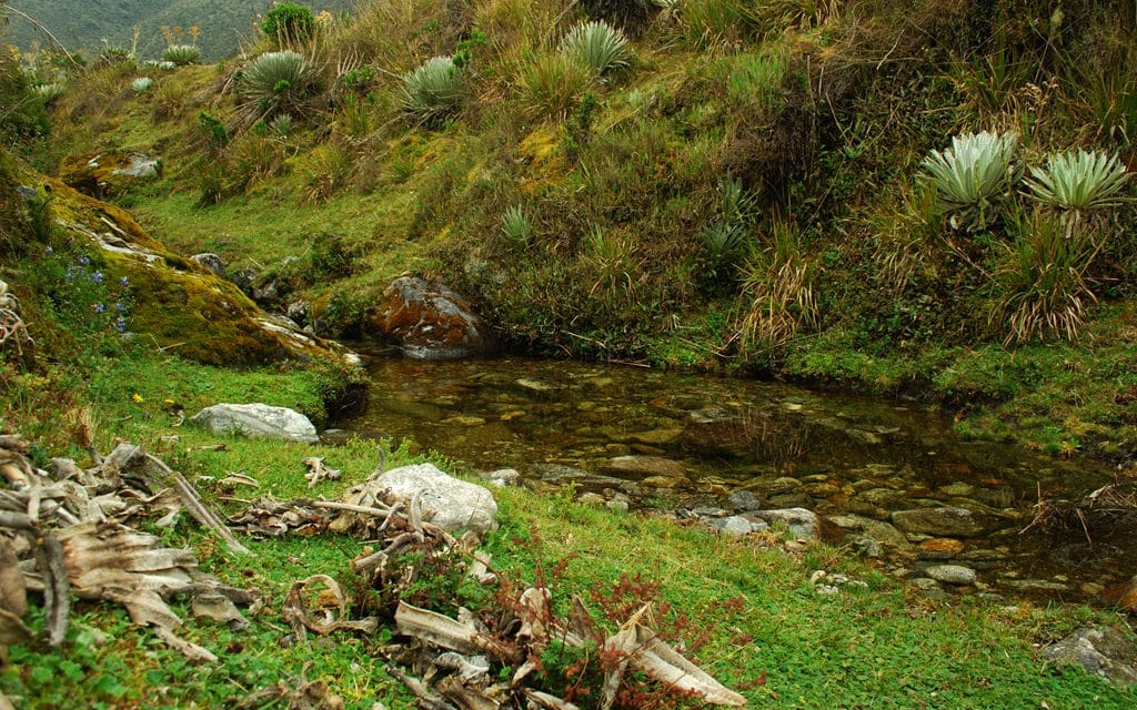 Laguna de aguas claras rodeada de montañas en el páramo andino