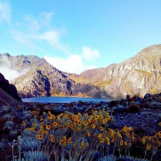 Pico Humboldt Estado Mérida