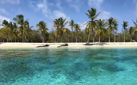 Playa de arena blanca y agua turquesa en la costa caribeña de Venezuela