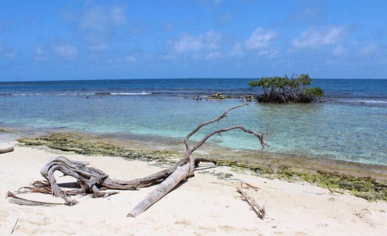 Cayo Playuela en el Parque Nacional Morrocoy
