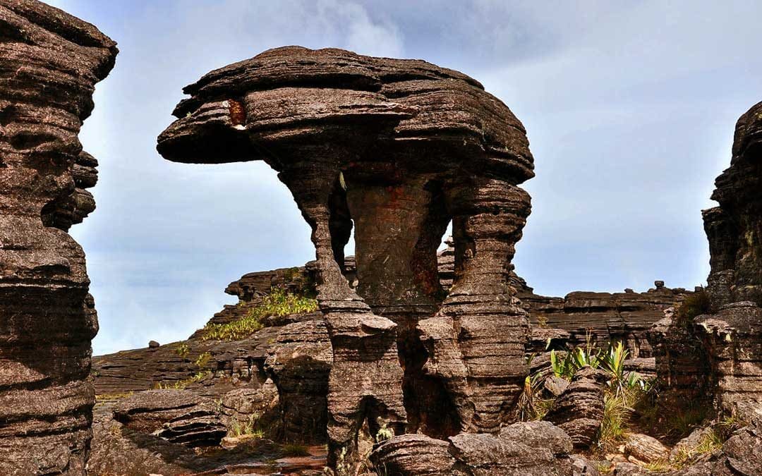 Landscape of La Gran Sabana on the way to Roraima