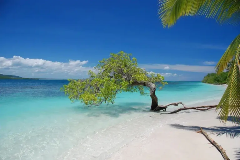 Sombrero en el Parque Nacional Morrocoy Venezuela