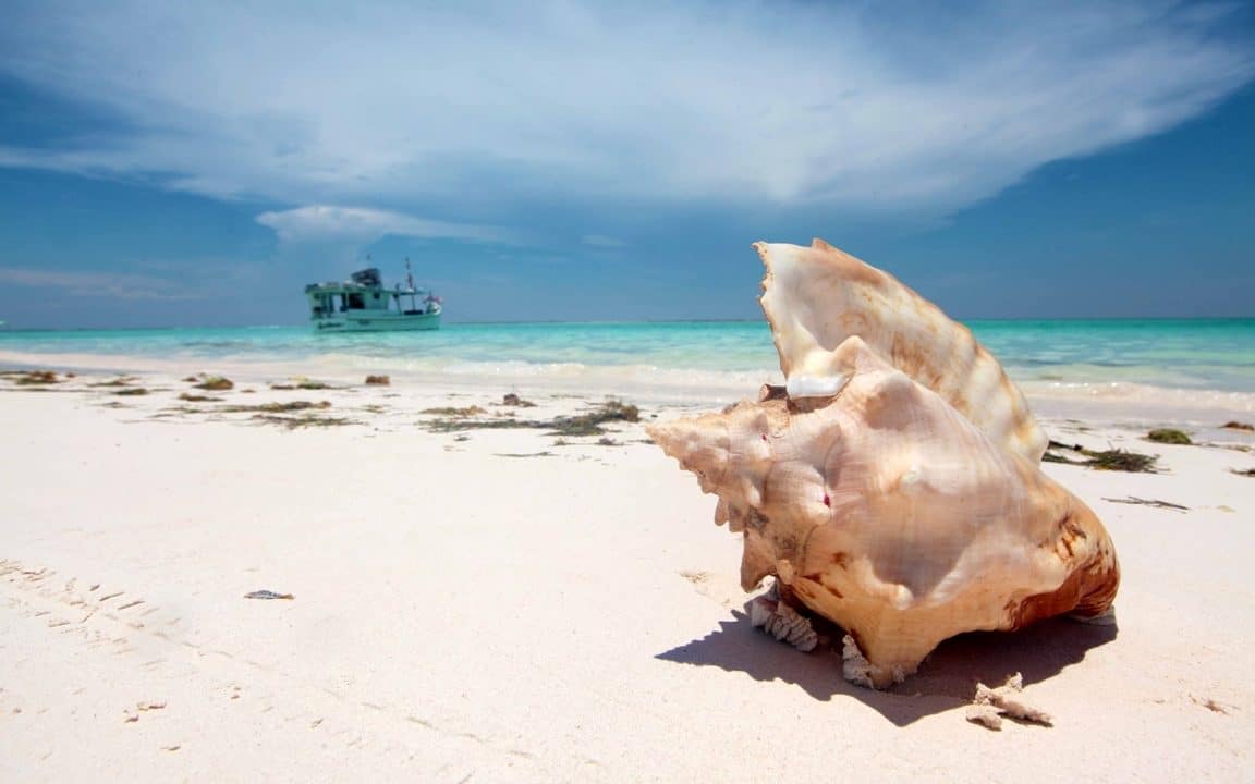 Playa de arena blanca y agua turquesa en Isla Tortuga, Venezuela