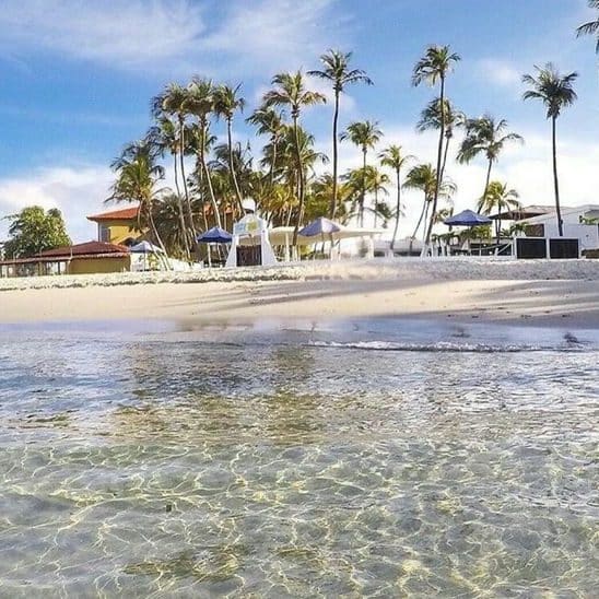 Cometas de kitesurf en el aire sobre la orilla de El Yaque